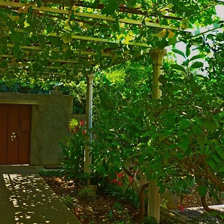 Apartamento Ivana S.